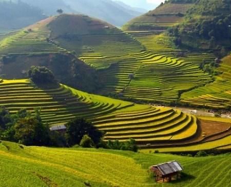 Discovery Hotel Sapa Exterior foto