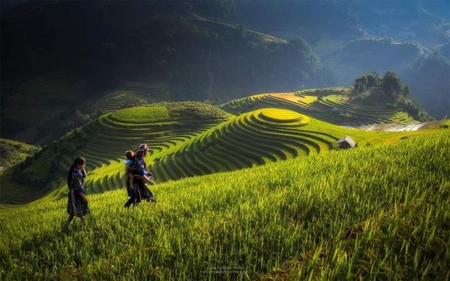 Discovery Hotel Sapa Exterior foto